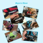 2 PCS PU Personalized Dog ID TagS for K9 Harness Collar Label Sticker Patch Custom Dog Tag Name Custom Pet Dog Harness Name Tag - Image 3