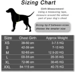 Dog Harness Vest ID Patch Customized Reflective Breathable Adjustable Pet Harness For Dog NO PULL Pet Outdoor Harness - Image 6
