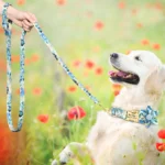 Personalized Dog Collar and Leash Set Nylon Print Dogs ID Collars Pet Lead Belt Rope Flower Accessories Small Medium Large Dogs - Image 5