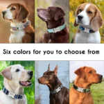 Personalized Dog Accessories Collar Nylon Printed Pet Puppy Collar Dog ID Collars Free Engraved ID for Small Medium Large Dogs - Image 5