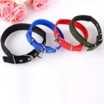 Adjustable Nylon Strap Dog Collar For Small Large Dogs Puppy Pet Accessories Leather Collar For Dogs Golden Retriever Husky Neck - Image 4