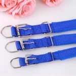 Adjustable Nylon Strap Dog Collar For Small Large Dogs Puppy Pet Accessories Leather Collar For Dogs Golden Retriever Husky Neck - Image 3