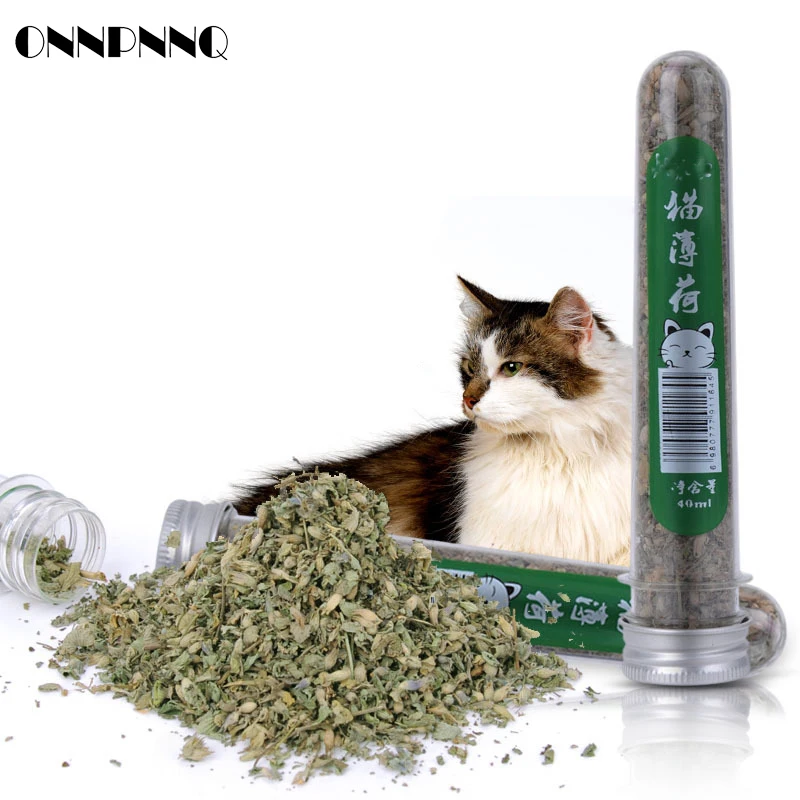 kf-HTB1Z2S0dAfb_uJkHFqDq6xVIVXaq 1pcs Tube Packaging Natural Catnip Debris Cats-go-crazy Menthol Flavor Cat Treat Toys For Cats Pet Kitten Accessories Appetizers - Image 1