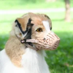 Adjustable Puppy Big Dog Muzzle Safety Breathable Pet Mouth Mask for Small Medium Large Dogs Pets Accessories mascotas Product - Image 5