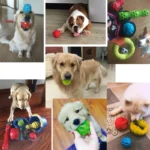 Caitec Dog Toys Squeaking Bouncing Ball Durable Floatable Springy Pet Toys Squeaky Ball Bite Resistant - Image 2