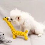 1pcs Bite Resistant Pet Dog Chew Toys for Small Dogs Cleaning Teeth Puppy Dog Rope Knot Ball Toy Playing Animals Dogs Toys Pets - Image 5