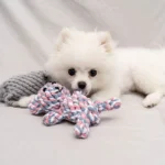 1pcs Bite Resistant Pet Dog Chew Toys for Small Dogs Cleaning Teeth Puppy Dog Rope Knot Ball Toy Playing Animals Dogs Toys Pets - Image 4