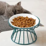 Pet Ceramic Bowl Nordic High Footed Ceramic Cat Food Bowl Snack Can Plate Anti Overturning Kitten Puppy Food Water Feeding Bowl - Image 4
