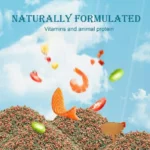 Fish Food Aquarium Feed Small Betta Fish Food for Breeders Hobbyists Freshwater Anglers Home Office Stores Shops Restaurant - Image 6