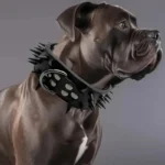 Dog Collar Anti-Bite Rivets Large Bulldog Domineering Anti-Bite Bully Dog Supplies Pets - Image 5
