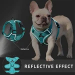 No Pull Dog Harness and Leash Set Adjustable Pet Harness Vest for Small Dogs Cats Reflective Dog Chest Strap Lead Walking - Image 4