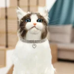 Pet Necklace Love Water Drop Water Diamond Cat Collar Dog Neck Jewelry Exquisite Cute Cat Gem Alloy Puppy Kitten Pet Supplies - Image 6