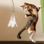 Cat Teaser Toy - Interactive Bell & Feather Wand - Long Suction Cup Pole for Exciting Playtime Adventures - Ultimate Cat Toy - Image 3