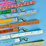 Valentine's Day and New Year Gifts for Dog Lovely Pet Traction Rope Double-Sided Printing Pet Dog And Cat - Image 3