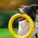 Dog Ring Toys Indestructible Chewing Flying Floating Training Tools Fetch for Small Medium Large Dogs Throwing Catching Flying - Image 2