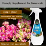 Succulent plant Eugenin promotes budding, dwarf fat, prevents leggy organic granules, succulent, and succulent 300ml - Image 2