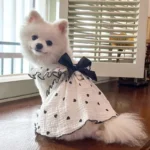 Thin Dog Cooling Dress, Puppy Summer Clothes, Bow, Heart Print, Pet Skirt, Kitten Dog Costume, Chihuahua, Bichon, Yorkie, Girls - Image 5