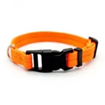 Dog Collar Solid Color Puppy Collars Medium Dogs Quickly Disengaged Pet Dog Training Collar Teddy Bichon Small Dog Collar - Image 6