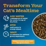 Tastefuls Irresistible Gravy Indoor Adult Dry Cat Food, Chicken, 5lb Bag - Image 4