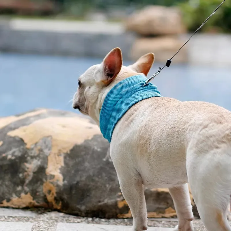 kf-S04ca083fffd7466084fe5d6fd4f62efa1 New Dog Scarf Mesh Breathable Cooling Dog Collar Small Medium Large Dogs Summer Ice Towel Pet Supplies - Image 1