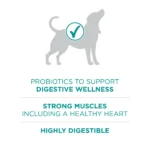 Plus Dry Dog Food for Digestive Health with High Protein Natural Chicken and Rice 16.5 lb Bag - Image 5