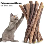 5pc Catnip Stick Pet Cat Molar All Natural Self-healing Wooden Toys Suppli Cleaning Relieve Polygonum Snacks Chews Boredom Z0A6 - Image 2