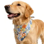 Summer Watermelon Print Pet Bandana, Adjustable Cute Dog Cat Triangle Scarf, Breathable Bib for Small Medium Large Dogs - Image 5