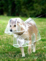 Dogs going out, transparent waterproof raincoat with hat pet raincoat - Image 2
