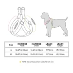 Personalized Dog Harness and Leash Set PU Leather Dogs Harness Free Engraved ID Buckle for Small Medium Large Dogs Pitbull Pug - Image 6