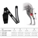 Adjustable Dog Rear Leg Brace Knee Joint Support Wrap for Large Dogs Hind Leg Protector Recovery Sleeve for Injury Arthritis - Image 4