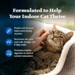 Blue Buffalo Wilderness Chicken Natural High-Protein Grain-Free Dry Food for Adult Indoor Cats, Real Chicken First, Antioxidant - Image 4