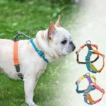 H-shaped Dog Harness,adjustable Explosion-proof Punching Dog Harness for Small Medium and Large Dogs for Training and Running - Image 4
