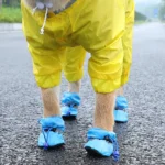 Waterproof Pet Dog Shoes Chihuahua Anti-slip Rain Boots Footwear For Small Cats Dogs Puppy Dog Pet Booties - Image 4