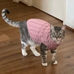 Warm Knitted Sphynx Cat Sweater Winter Pet Clothes for Cats mascotas Clothing Katten Kedi Kitten Puppy Pullovers ropa para gatos - Image 4