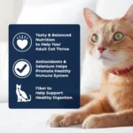 PLUS Urinary Tract Health Dry Cat Food, 15.5 lb. Bag - Image 5