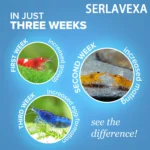 SERLAVEXA Shrimp Feed Granules Premium Nutrition Fish Tank Invertebrate Food for Red Cherry Crystal Shrimp Promote Moulting - Image 2