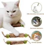 1pc Cat Cleaning Teeth Pure Natural Catnip Cat Molar Toothpaste Stick Silvervine Actinidia Fruit Matatabi Cat Snack Stick - Image 2