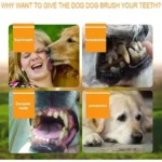 Pet Finger Toothbrush Kit Non-Toxic Silicone Dental Cleaning Tool for Dogs Cats Puppies Tartar Removal Bad Breath Care Cleaning - Image 5