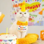 Adorable Dog Cat Puppy Birthday Hat & Bandana Set Cat Dog Accessories Pet Birthday Supplies - Image 6