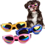 Chic Folding Pet Sunglasses - UV Protection & Scratch-Resistant - Versatile Fashion Accessory for Dogs and Cats - Image 5