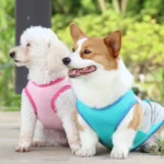 Summer Pet Dog Cooling Vest Quick Dry Pet Clothes Sun Protection Reflective Breathable Cats Outfit For Small Medium Large Dogs - Image 6