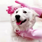 Pet Grooming Gloves for Dogs And Cats Silicone Bathing Shampoo Scrubber Dishwashing Cleaning Glove Hair Removal Multi-Functional - Image 4
