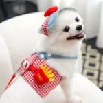 3 Pcs/Set Breathable Fabric Pet Traction Rope Set Duck Frog Design Cute Hat Dog Leash Puppy Clothes Outgoing Cat Chest Harness - Image 5