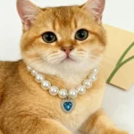 Princess Style Pet Pearl Collar for Dogs Cats - Cute Jewelry Accessory for Puppy Kitten Chihuahua Perfect Wedding Gift - Image 3