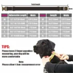 Personalized Dog Collar Custom Pet Collar Free Engraving ID Name Tag Pet Accessory Lovely Puppy Collar Leash - Image 5