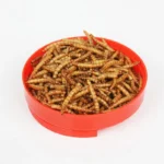 SW Multi-Pet Insect Treats - Dried Mealworms for Hamsters, Mynah Birds, Hedgehogs, Arowana & Turtles (High-Protein Snack) - Image 3
