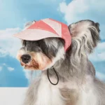 Dog Hat Sun Protection Summer Travel for Small Medium Dog Hats Chihuahua French Bulldog - Image 7