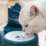 Pet Double Bowl Tilted Neck Protection Automatic Water Feeder Food Bowl Anti Choke Feeding Dish for Cat Dog Indoor Home Daily Us - Image 5