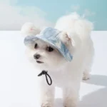 Pet Dogs Bucket Hat With Ear Holes Sunproof Baseball For Large Medium Small Dogs Summer Dog Sun Hat Outdoor Hiking Hat - Image 3