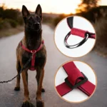Escape-Proof Nylon Dog Harness with Handle Adjustable No-Pull Pet Harness for Medium Large Dogs Golden Retriever Husky Supplies - Image 3